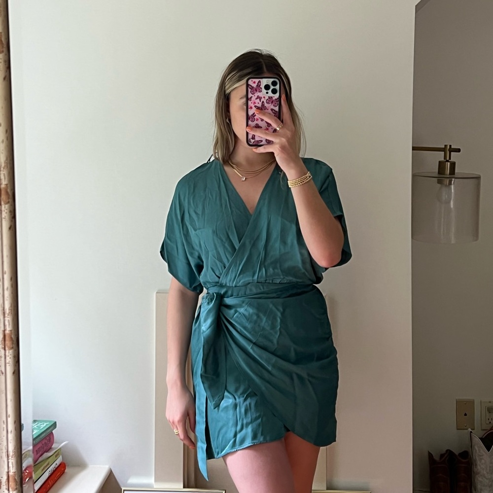 BNWT Zara Dress